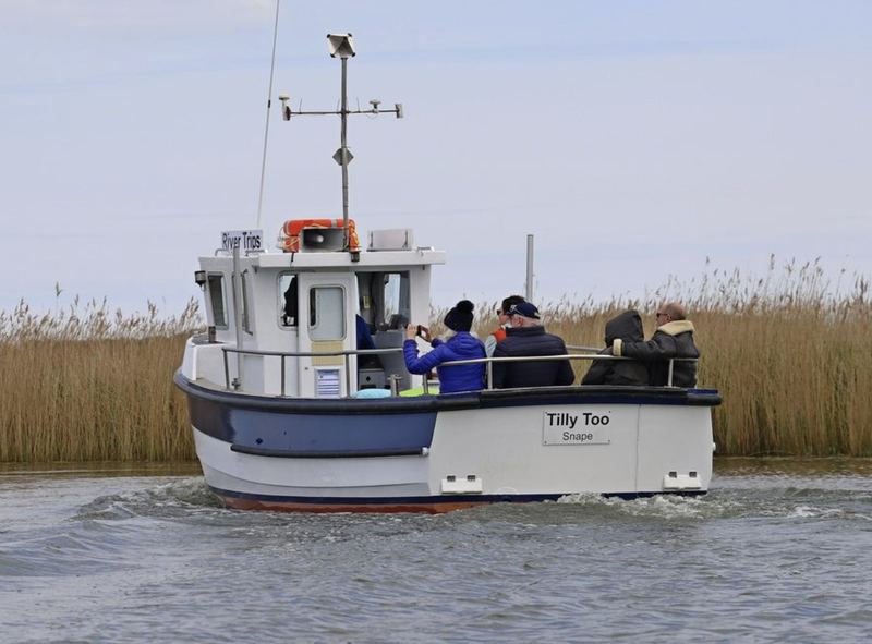 Tilly Too, the Suffolk River Trips boat, among the reed beds near Snape Maltings
