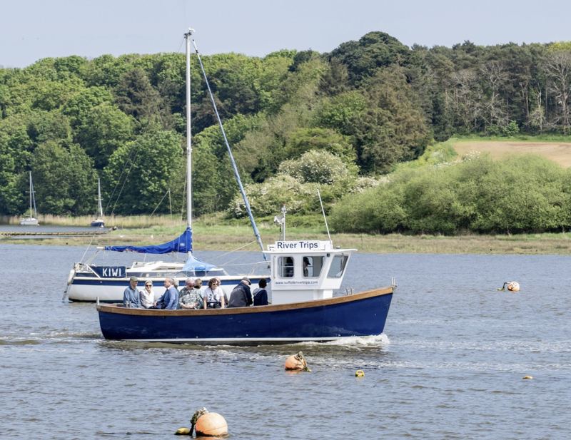 A Suffolk River Trips boat on the River Deben near Woodbridge, with woodland behind